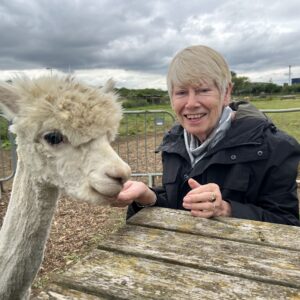 Alpaca Adoption Visit