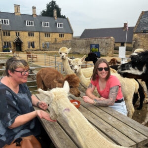 Alpaca Tea Party - Adult ticket